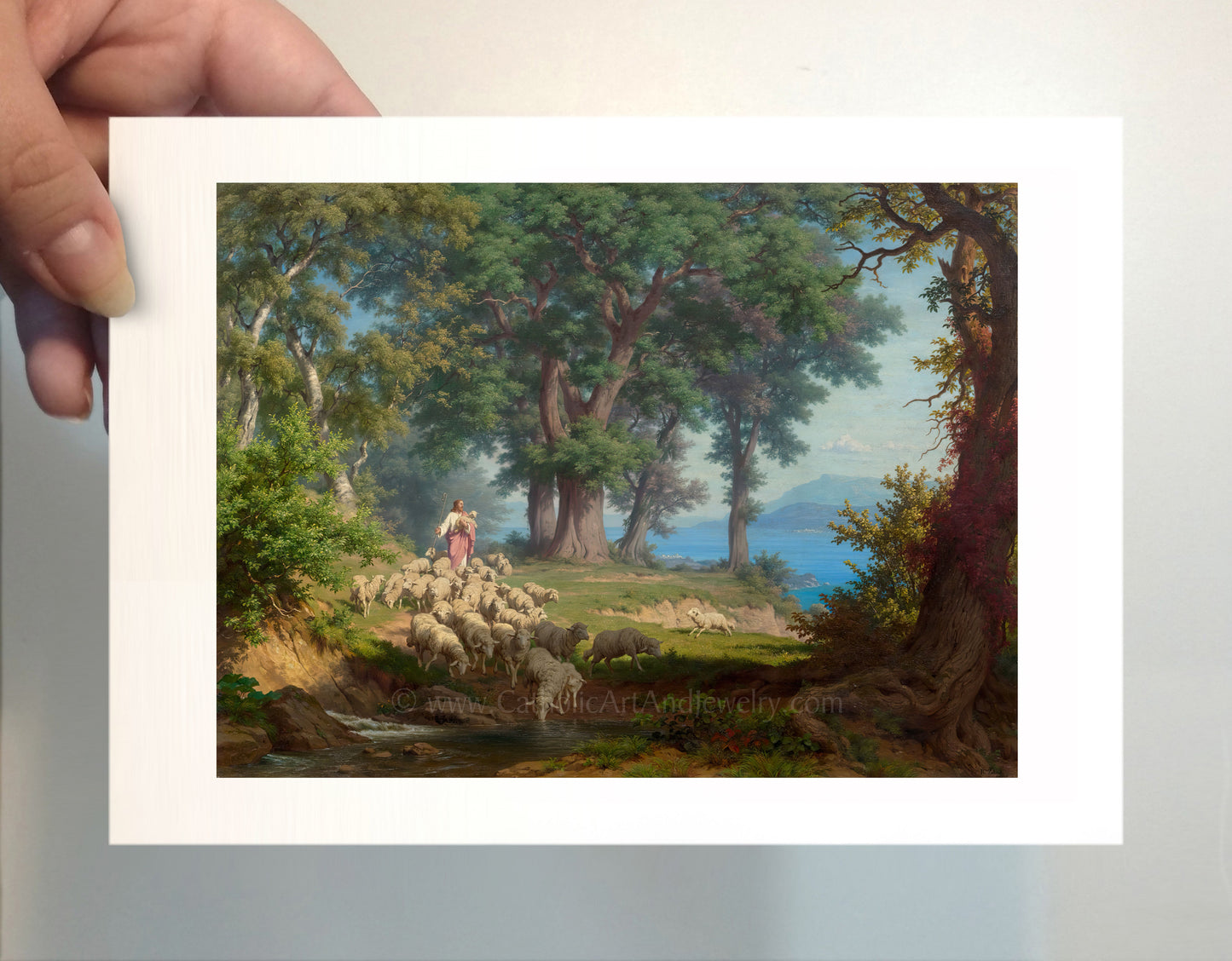 a person holding a picture of sheep in a forest