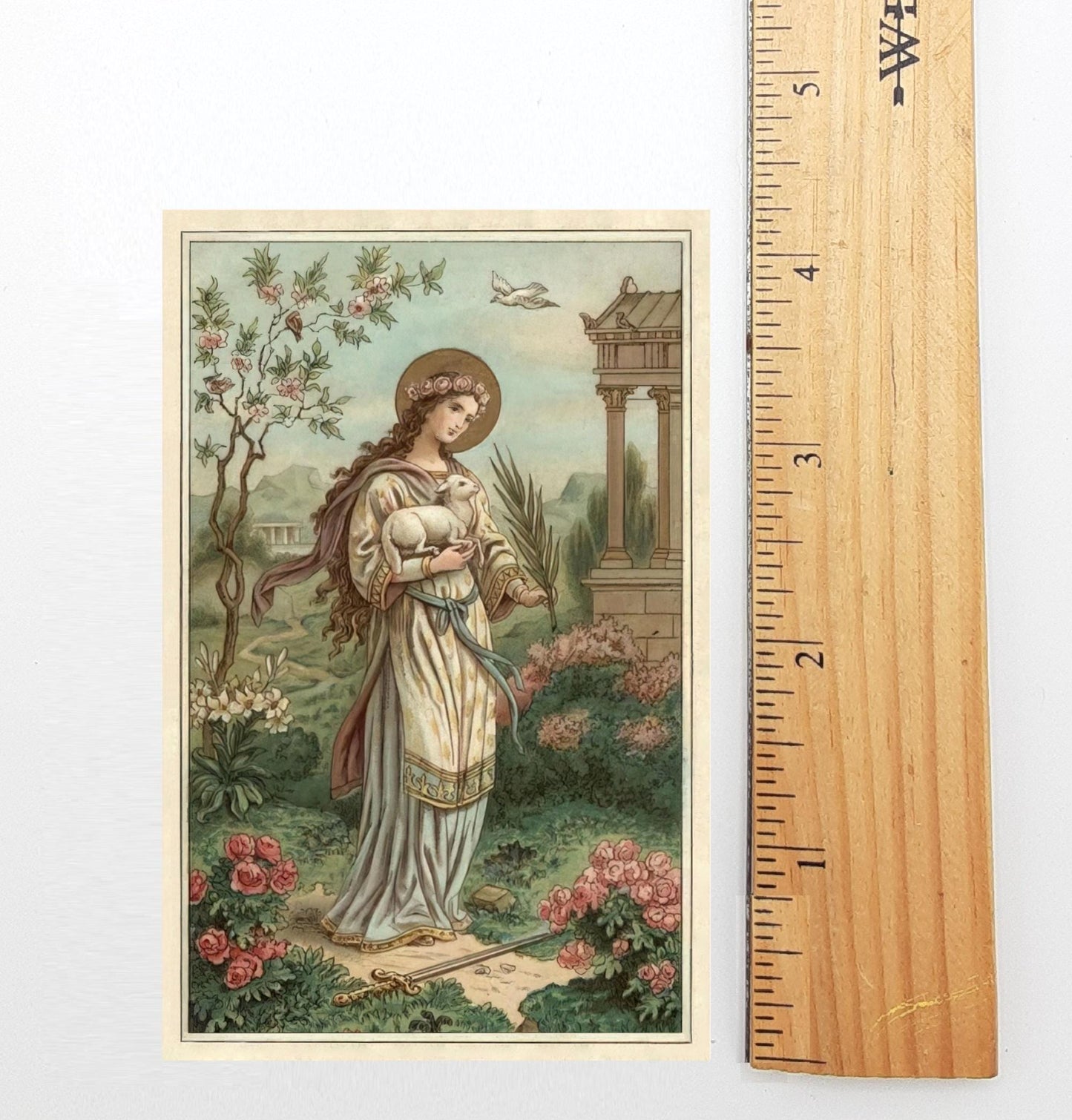 Agnes of Rome – Restored Vintage Holy Card – pack of 10/100/1000